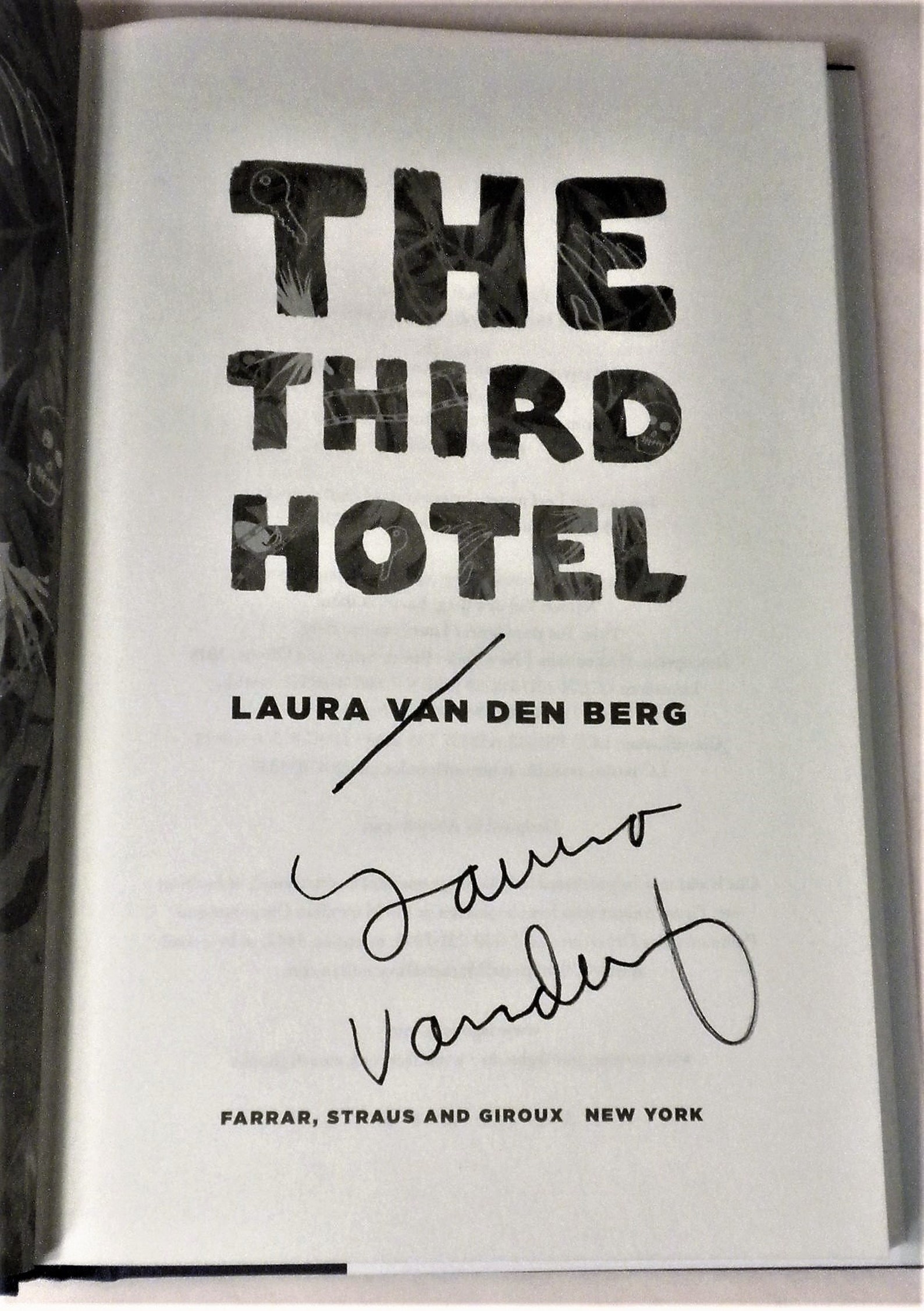 The Third Hotel by Laura van den Berg