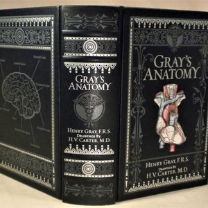 Gray's Anatomy, Henry Gray, Barnes & Noble Classic, New, In Shrinkwrap, 2018 image 1