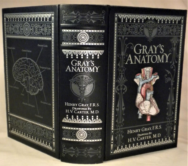Gray's Anatomy, Henry Gray, Barnes & Noble Classic, New, In Shrinkwrap, 2018 image 1
