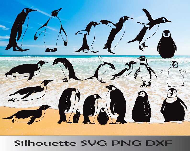 Download Penguin svg dxf Animal svg dxf bundle Silhouette digital | Etsy
