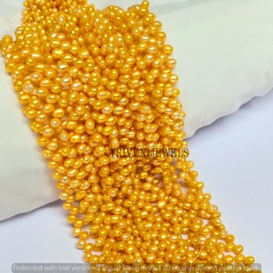 6-6.5 mm Freshwater Yellow Side Drilled Pearl Gemstone Beads, Freshwater Pearls, Drilled Pearls, Yellow Pearls, Teardrops Pearls 15&quot;