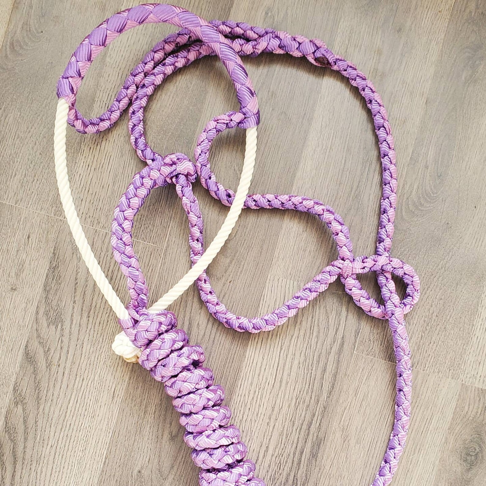 Zwei getönte lila Lariat Nasenband Halfter | Etsy