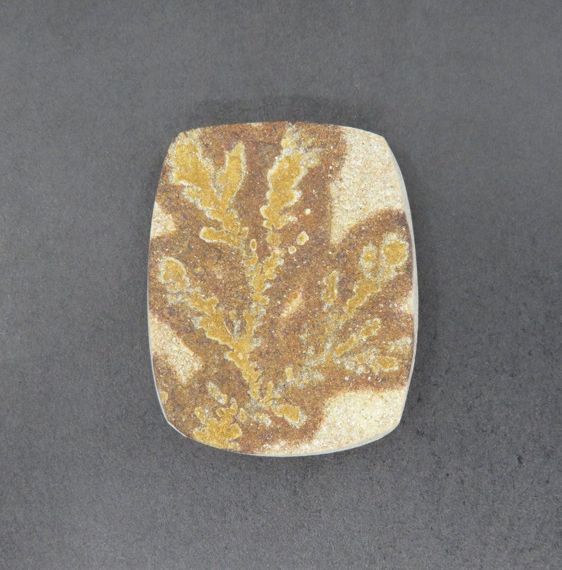 Rough Limestone Psilomelane Dendrite Cabochon 11.19g 26.8mm x 32.8mm - Loose Gemstone bild 3