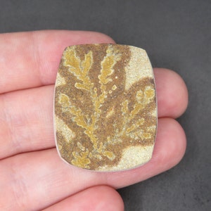 Rough Limestone Psilomelane Dendrite Cabochon 11.19g 26.8mm x 32.8mm - Loose Gemstone bild 2