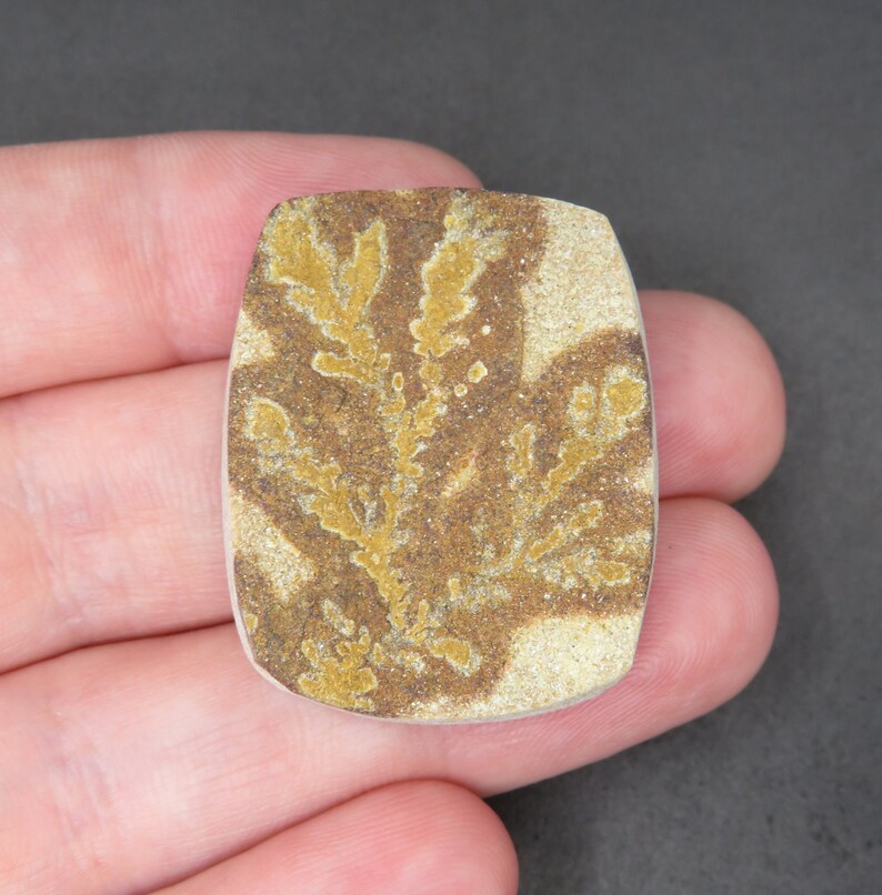 Rough Limestone Psilomelane Dendrite Cabochon 11.19g 26.8mm x 32.8mm - Loose Gemstone bild 2