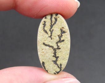 Rough Limestone Psilomelane Dendrite Cabochon 2.73g 12.3mm x 23.6mm - Loose Gemstone