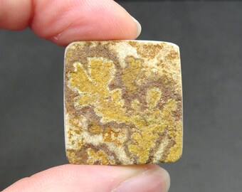 Rough Limestone Psilomelane Dendrite Cabochon 8.4g 25.5mm x 27.2mm  - Loose Gemstone