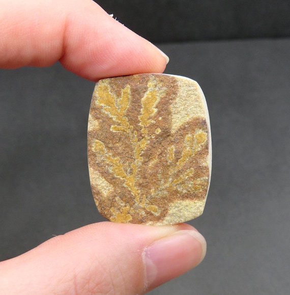 Rough Limestone Psilomelane Dendrite Cabochon 11.19g 26.8mm x 32.8mm - Loose Gemstone