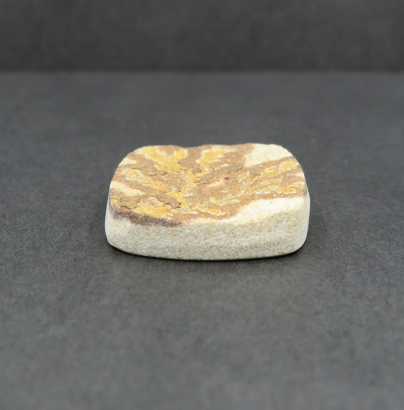 Rough Limestone Psilomelane Dendrite Cabochon 11.19g 26.8mm x 32.8mm - Loose Gemstone bild 7