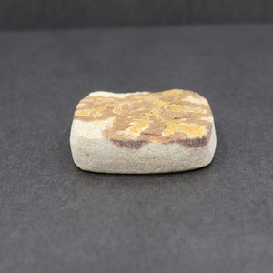 Rough Limestone Psilomelane Dendrite Cabochon 11.19g 26.8mm x 32.8mm - Loose Gemstone bild 5