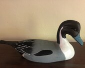 Pintail - Duck decoy - Hand carved painted.