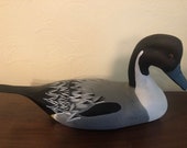 Pintail - Duck decoy - Hand carved painted.