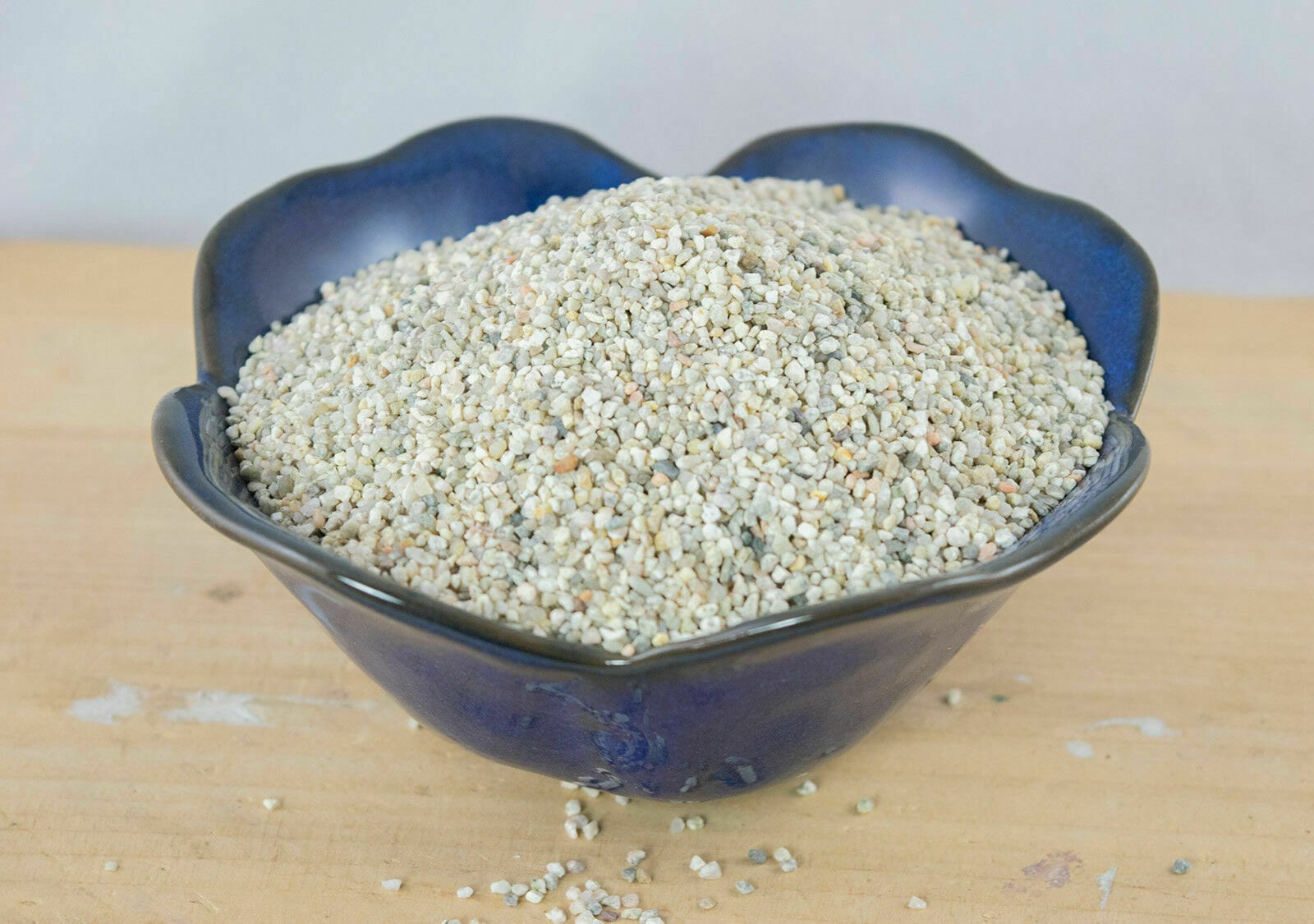 2 Gal. Coarse Silica Sand For Succulent & Carnivorous Plant Etsy