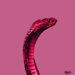 Peut inclure: Illustration numérique d'un cobra rouge sur fond rose. La tête du serpent est levée et ses écailles sont détaillées. L'œuvre a un style graphique moderne.