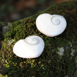 Eye of Shiva- Knowledge & Lucky Charm