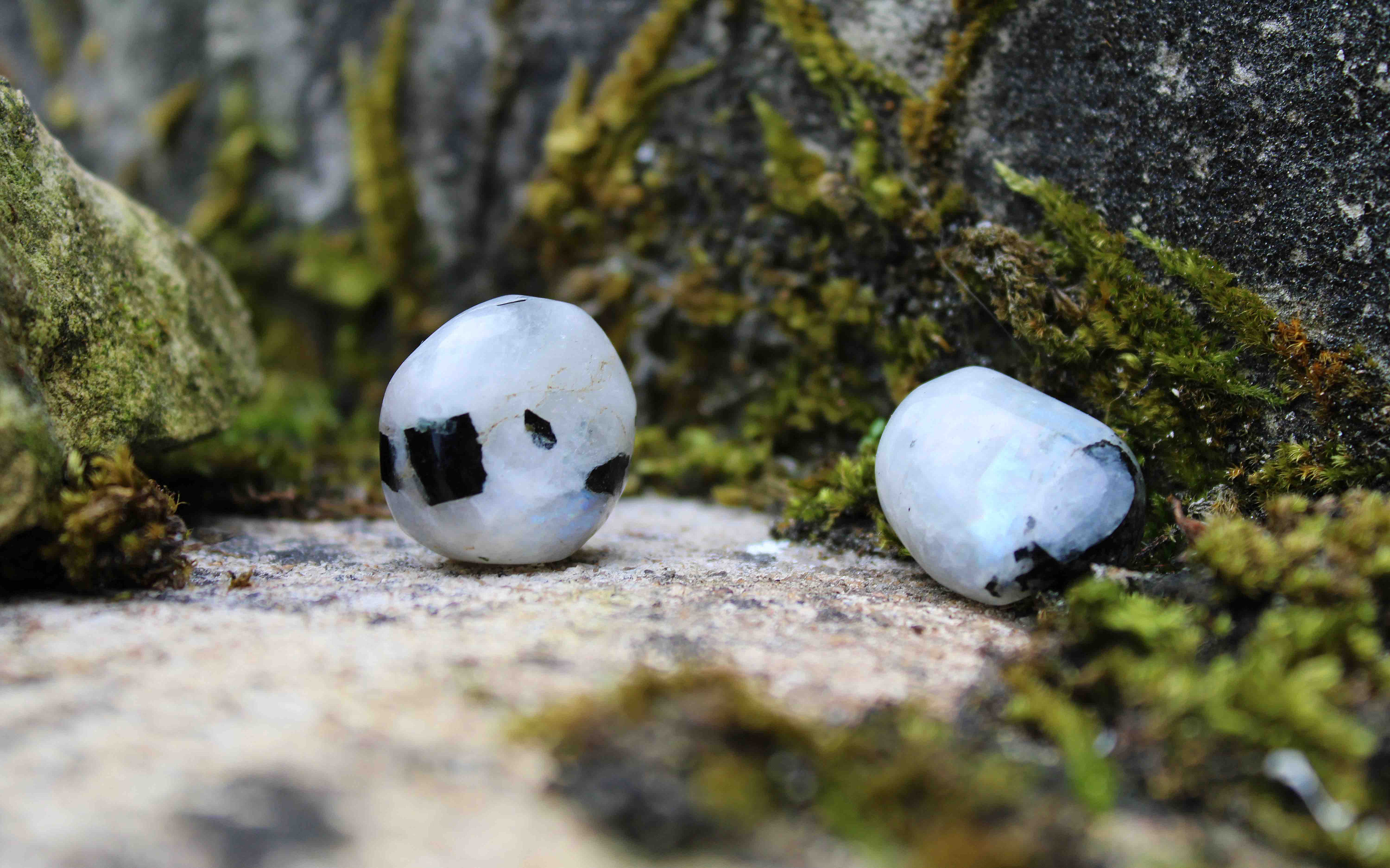 Pierre de Lune Arc-En-Ciel - Douceur & Protection