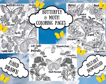 Dibujos para colorear de mariposas y polillas: Arte natural realista (Descarga digital)