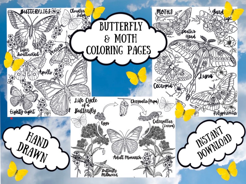 REALISTIC BUTTERFLY Coloring Pages/ Coloring Pages for Adults/coloring