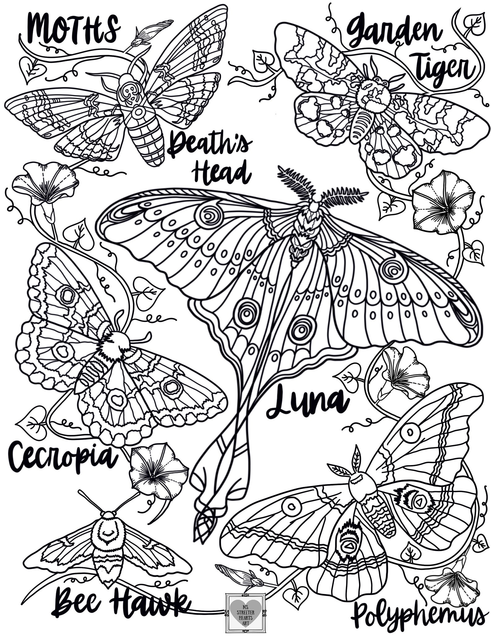 REALISTIC BUTTERFLY Coloring Pages/ Coloring Pages for Adults/coloring