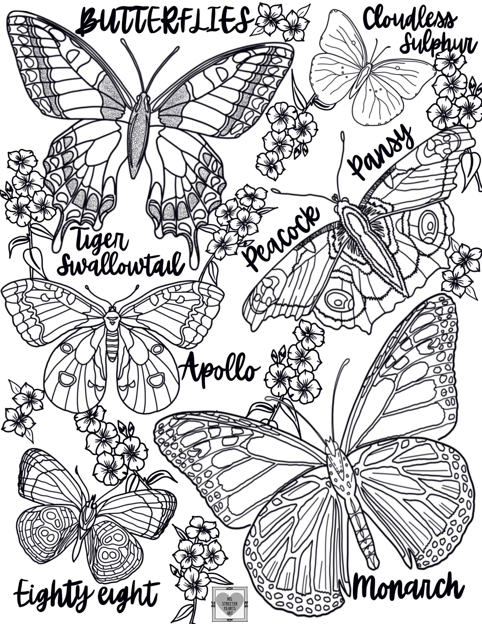 REALISTIC BUTTERFLY Coloring Pages/ Coloring Pages for Adults/coloring