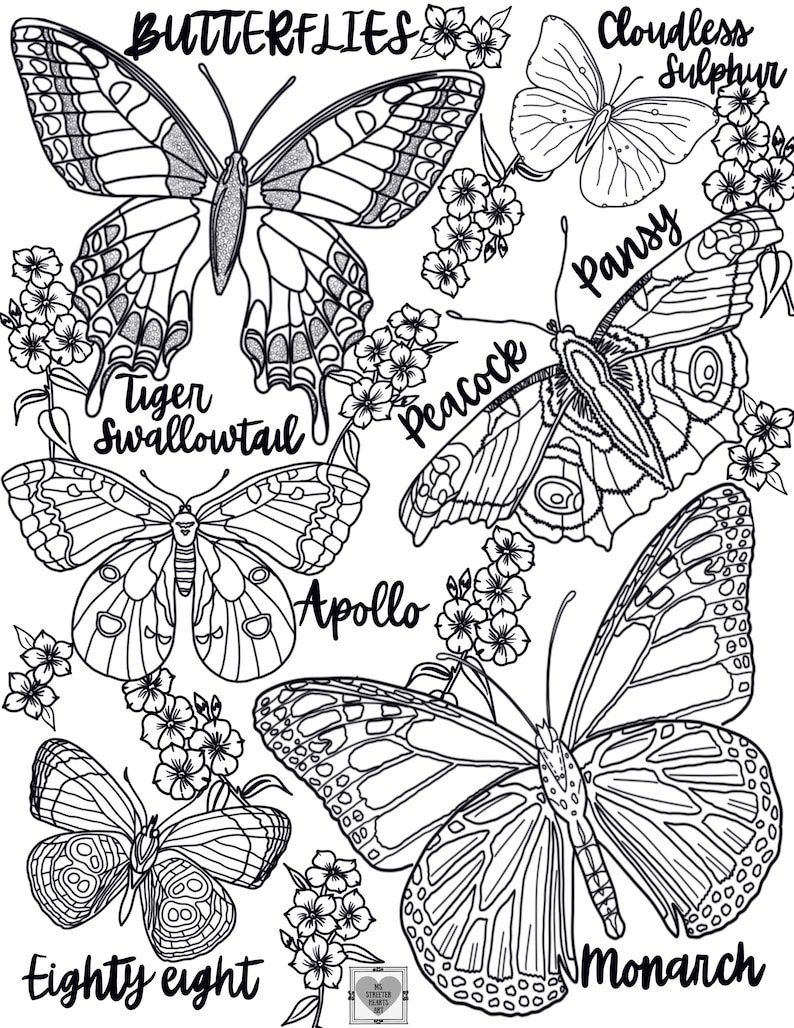 REALISTIC BUTTERFLY Coloring Pages/ Coloring Pages for Adults/coloring ...