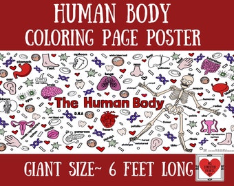 Afiche para colorear, partes del cuerpo, aula de ciencias, pancarta gigante para colorear el cuerpo humano y mantel de papel, actividades de anatomía para niños
