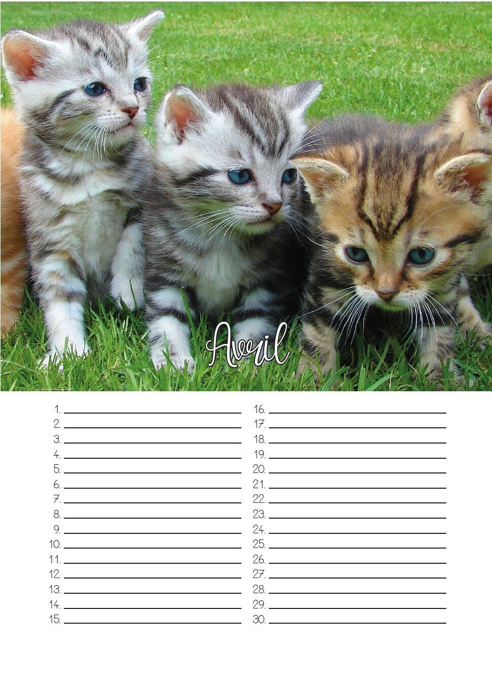 Calendrier Perpétuel Des Anniversaires Chat