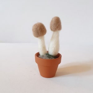 Needle felted mini Pixie Cap Mushroom/Fungi/Wool mushroom/ Whimsical mushroom/ Home decor/Handmade/Gift