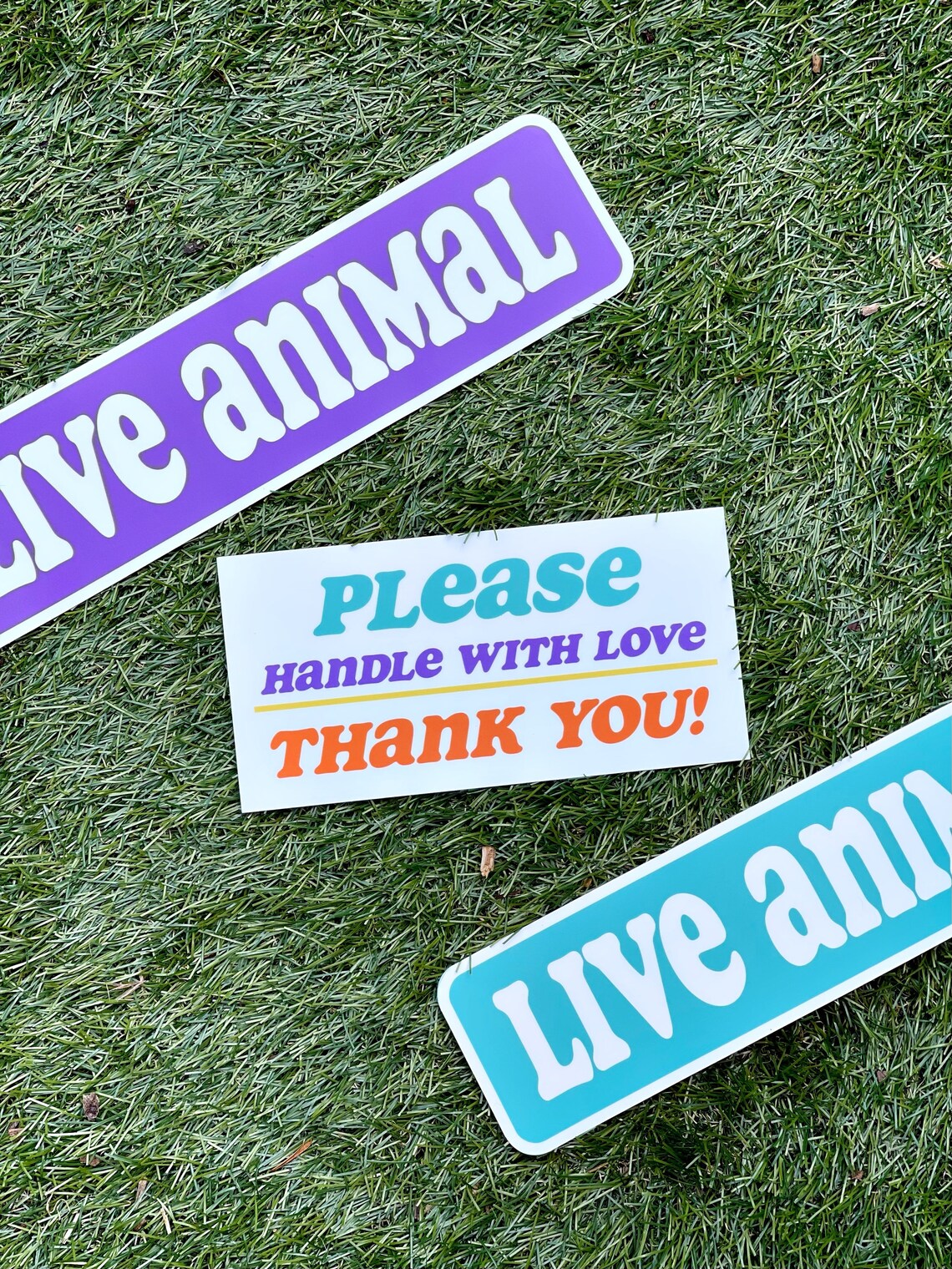 Kennel Sticker Pack / Live Animal Sticker / Travel with dogs / Etsy