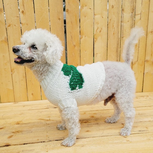 Wool Dog Sweater Knitted Dog Sweater White Dog Sweater Etsy