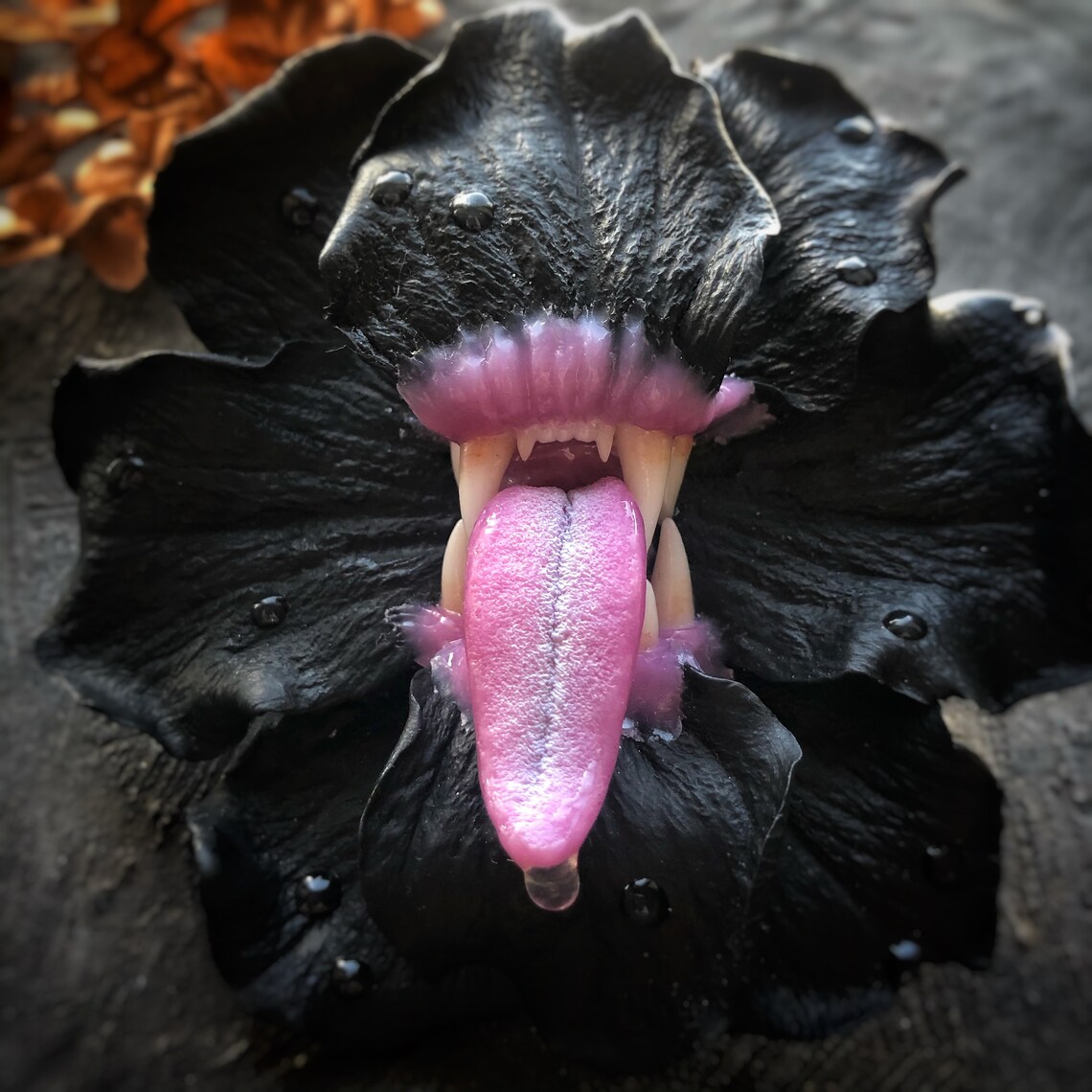 Flower with teeth brooch jewelrygothic giftsan unusual Etsy