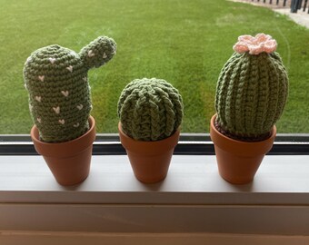 Conjunto de cactus de ganchillo/ Amigurumi de algodón hecho a mano en macetas de terracota