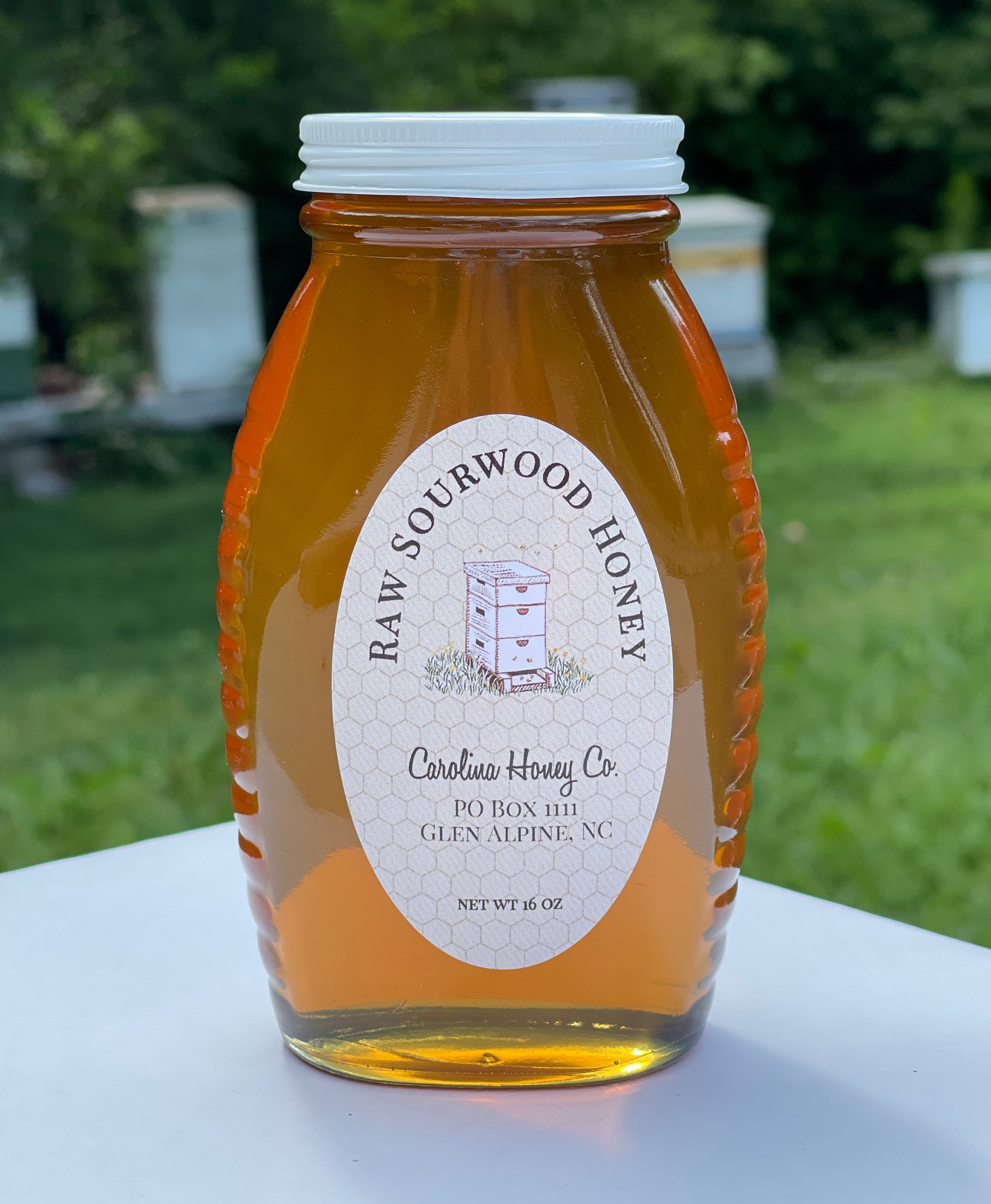 Sourwood Honey Raw North Carolina Etsy