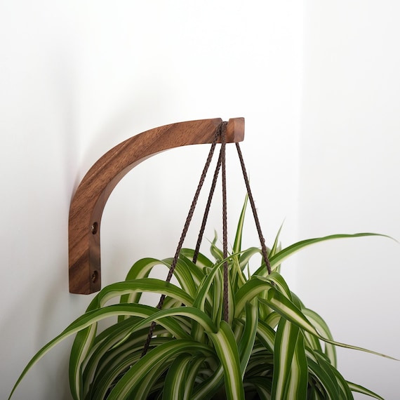 Wooden Plant Wall Hook Bracket Solid Walnut for Hanging Planters Indoor  Plant Holder Modern Natural Decor With Mounting Hardware - Etsy Israel