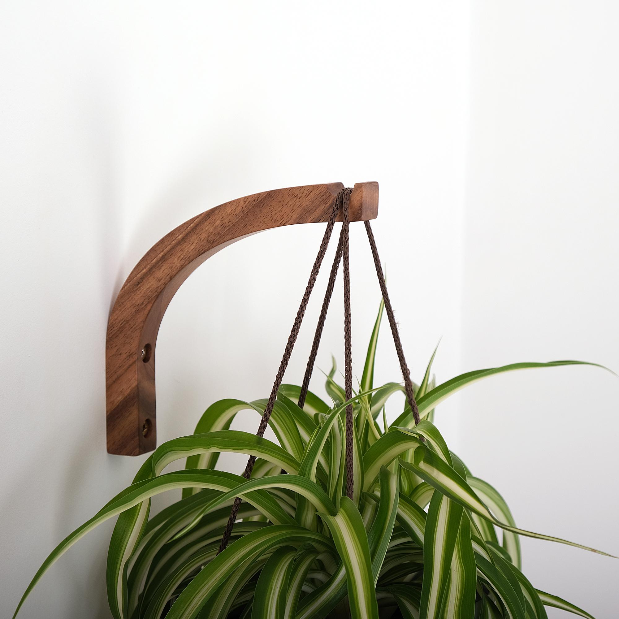 Wooden Plant Wall Hook Bracket Solid Walnut for Hanging Planters Indoor  Plant Holder Modern Natural Decor With Mounting Hardware - Etsy