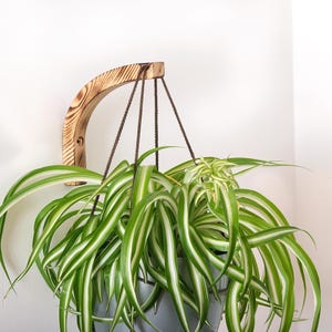 Handgemachte Vintage Holzpflanzen Haken Wand Montiert Hängende Halterung Rustikale Holz Pflanzen Aufhänger Boho Wohnkultur Indoor Outdoor Planter Halter