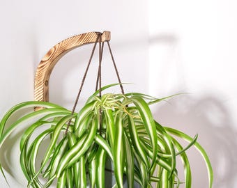 Gancho de pared de madera para colgar plantas