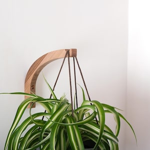 Moderne Wandhaken aus Nussbaum Holz für Zimmerpflanzen Minimalistische Halterung für Wandhalterung Pflanzgefäß stilvolle Wohnkultur Geschenkidee