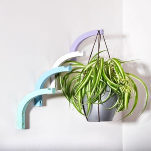 Op de afbeelding: Een veelkleurige, aan de muur gemonteerde plantenhouder met een hangende grijze pot gevuld met een groen-wit gestreepte plant. De houder is gemaakt van gebogen houten stukken in pasteltinten blauw, wit en paars.