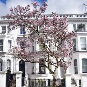 Notting Hill, London