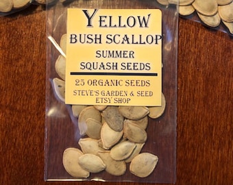 Yellow Scallop Bush Summer Squash Seeds / 25 Seeds / Organic