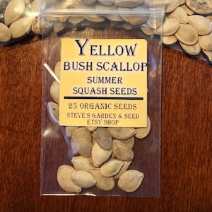 Yellow Scallop Bush Summer Squash Seeds / 25 Seeds / Organic