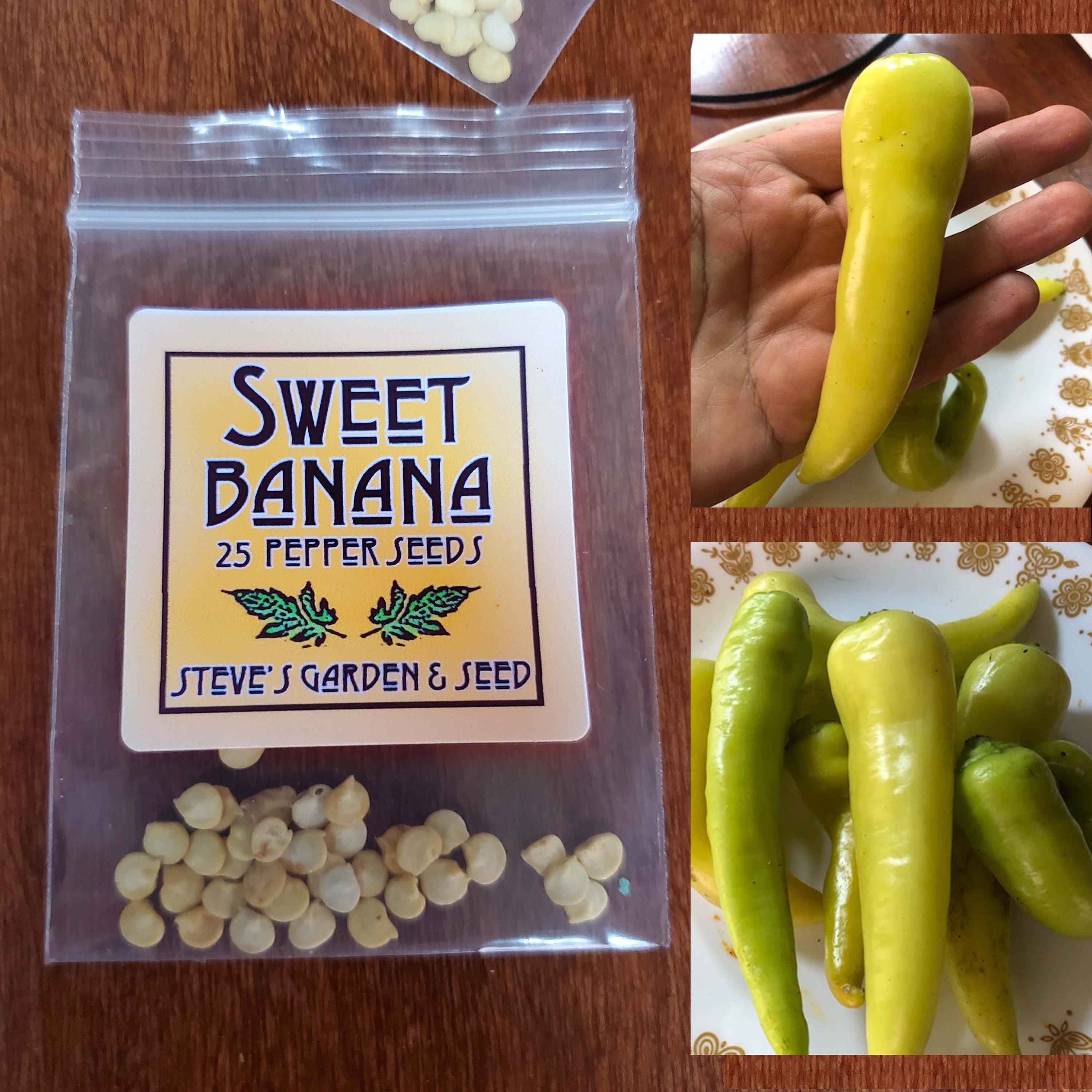 Organically Grown Heirloom Sweet Banana Pepper Seeds-M 016 25 Organically Grown Heirloom Sweet Banana Pepper Seeds-M 016 25