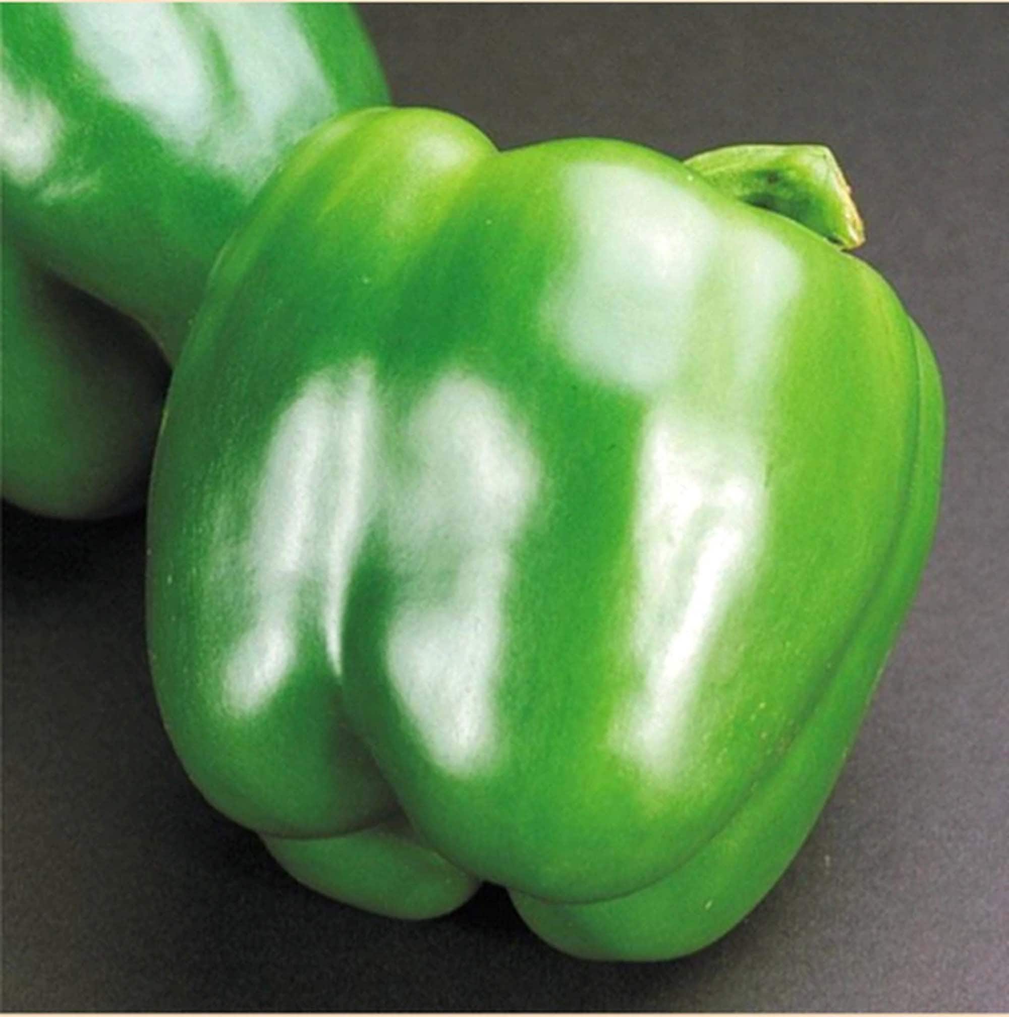 California Wonder Green Bell Pepper Seeds / 25 Seeds / Organic Etsy
