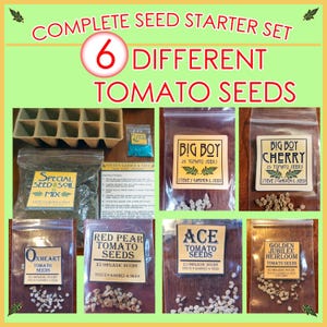 May include: A set of six different tomato seed packets, each with a different variety name. The packets are arranged in a collage with a seed starting tray and a small bag of seed starting mix. The packets are labeled with the variety name, the number of seeds, and the company name "Steve's Garden & Seed".