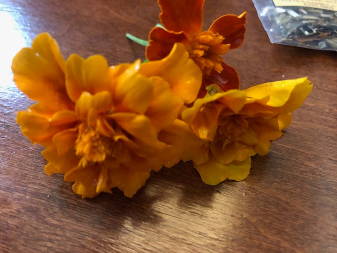 Marigold Seeds / RED MARIETTA / Large Marigolds / Plant Seeds Etsy