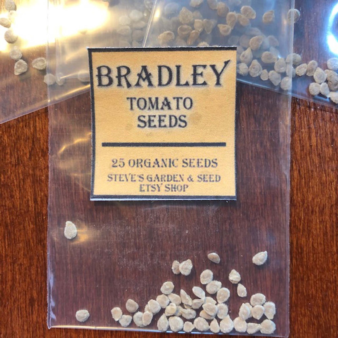 Organic Bradley Tomato Seeds / 25 Seeds Etsy