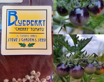 Blueberry Cherry Tomato Seeds, 15 Seeds Per Pack, Non-GMO, Harvested and Fermented at Small Missouri Farm