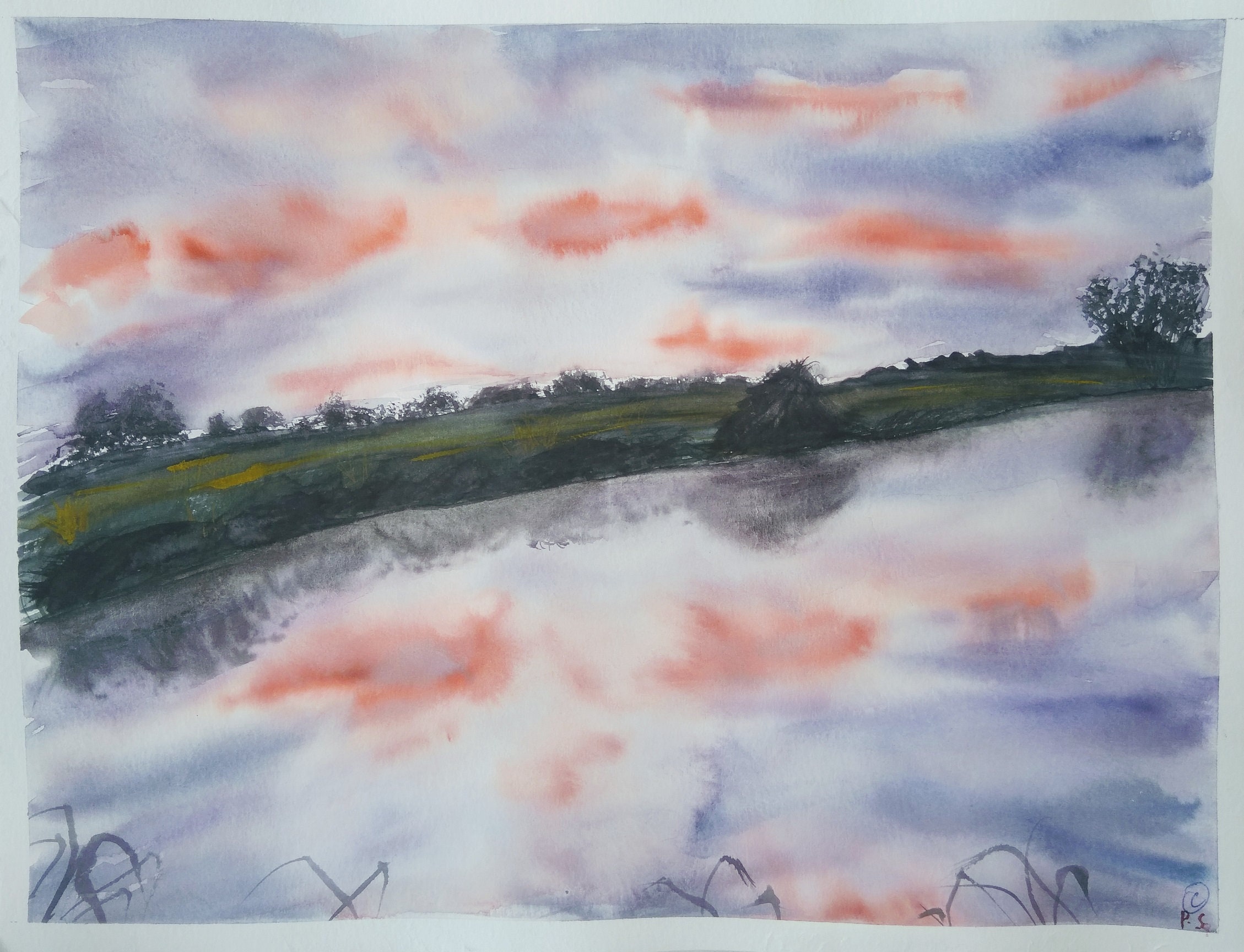 pluma reflection paper