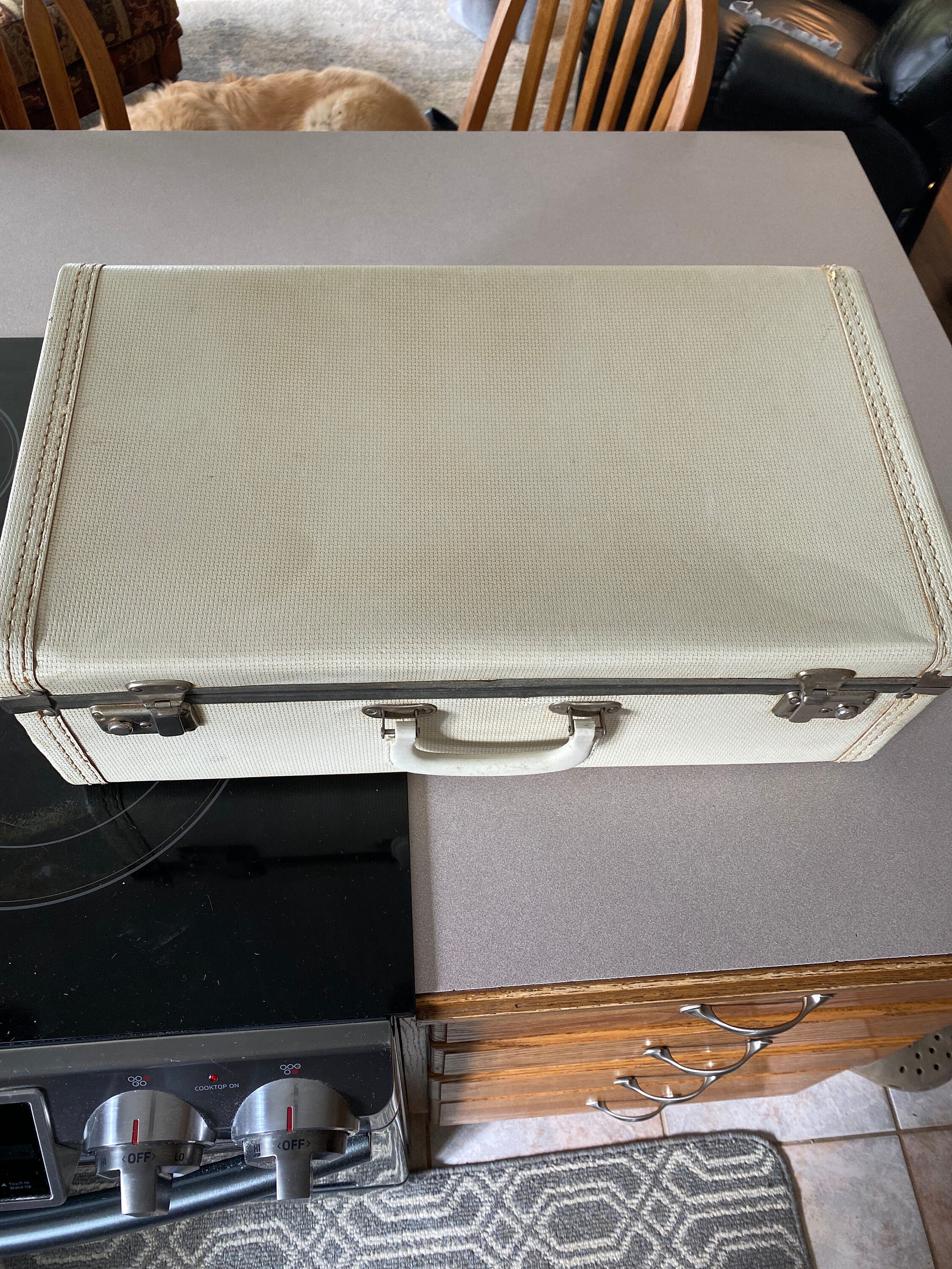 Vintage Luggage White With Baby Blue 